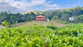Aloha farm living